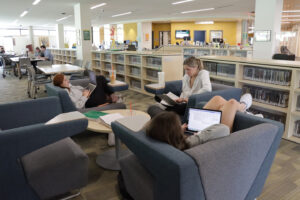 Students in the Library