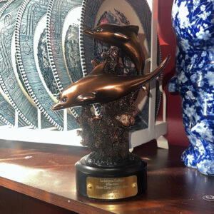 Dolphins Choice award